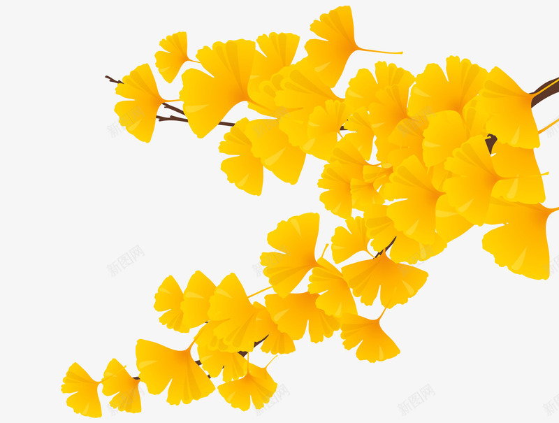 黄色银杏叶png免抠素材_新图网 https://ixintu.com png图形 树枝 植物 水彩 装饰 银杏叶 黄色