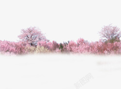 粉色花海桃花高清图片