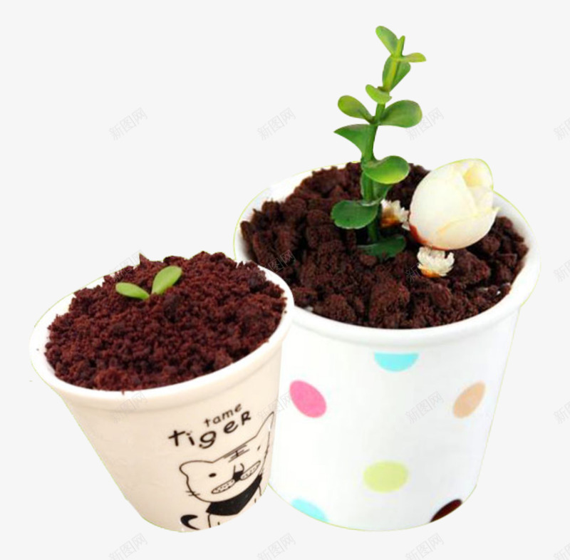 纸杯盆栽蛋糕png免抠素材_新图网 https://ixintu.com 巧克力 盆栽 纸杯 蛋糕