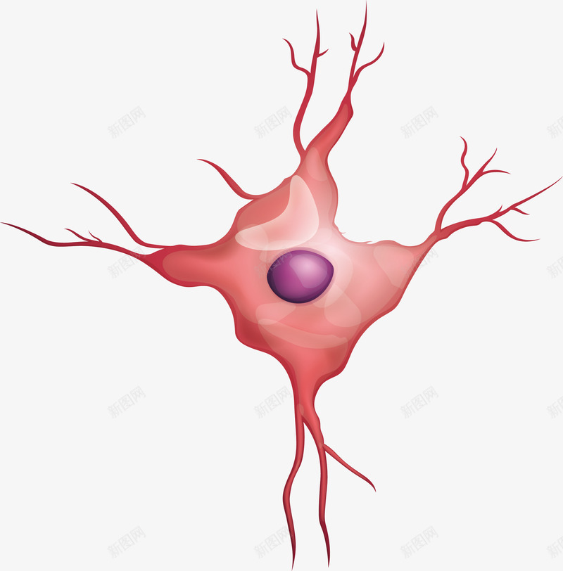 细胞结构png免抠素材_新图网 https://ixintu.com 生物结构 矢量素材 细胞 细胞组织
