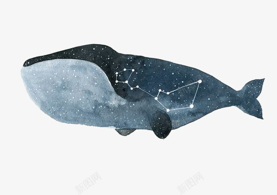 蓝鲸png免抠素材_新图网 https://ixintu.com 手绘鲸鱼 星空 水彩鲸鱼 海洋 环保 鲸鱼 黑白鲸鱼