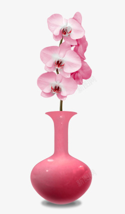 粉色插花花瓶素材