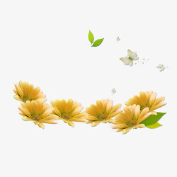 金鸡菊重阳节金菊花朵蝴蝶装饰免高清图片