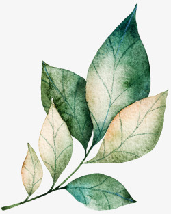 手绘树树林彩绘水彩手绘植物装饰图案高清图片