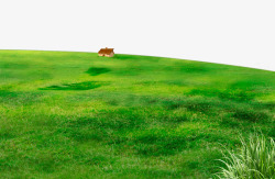 灞变笜卡通山丘上的草地高清图片