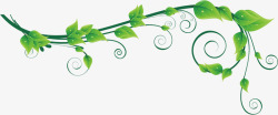 绿叶线条背景绿色藤蔓高清图片