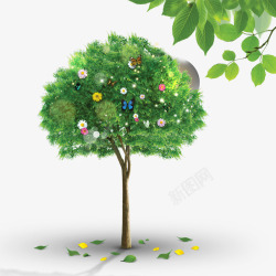 绿树成荫素材