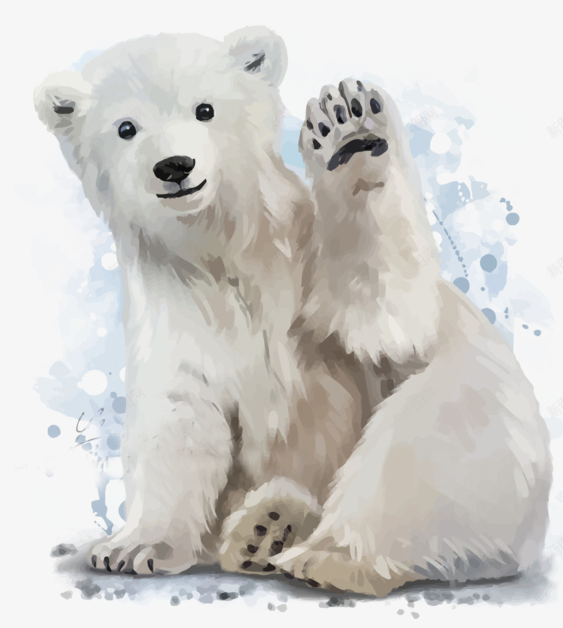 水彩手绘北极熊矢量图eps免抠素材_新图网 https://ixintu.com 北极熊 北极熊PNG矢量图 北极熊免扣PNG图 卡通 坐着的北极熊 手绘 极地动物 白色 矢量北极熊 矢量图 行走的熊