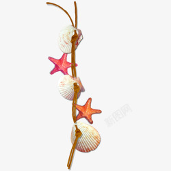 海星贝壳装饰绳子素材