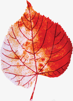 北欧极卡通水彩红色树叶装饰图案高清图片