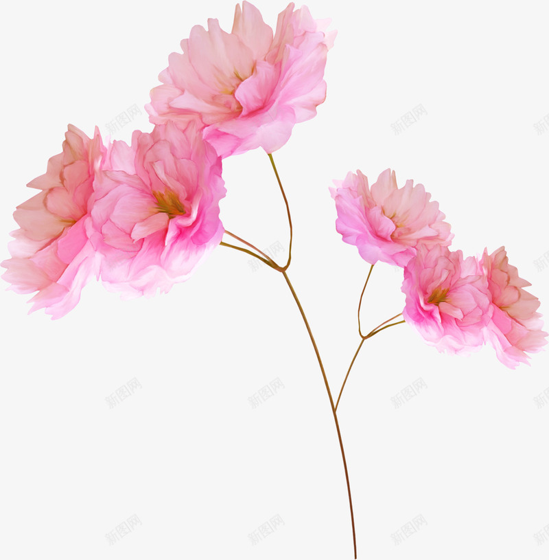粉色花卉婚庆布置png免抠素材_新图网 https://ixintu.com 婚庆 布置 粉色 花卉
