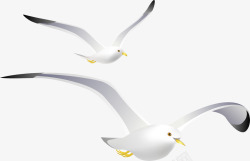 手绘飞翔海鸥精美手绘卡通飞翔海鸥高清图片