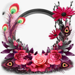 韩式相框彩色孔雀毛花朵圆形相框高清图片