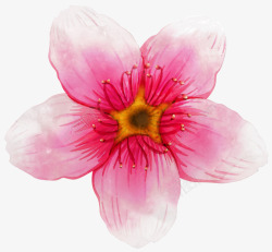 水晶花朵水墨水晶彩色花朵高清图片
