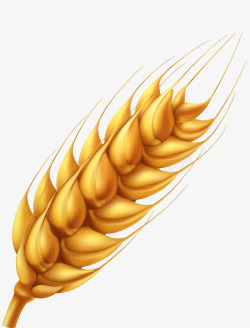 稻穗图标金色麦子谷物矢量图图标高清图片