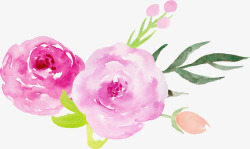 粉色玫瑰装饰图案素材