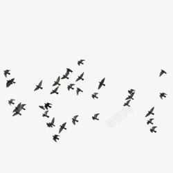 鸽子图案飞鸽成群飞翔的小鸟高清图片