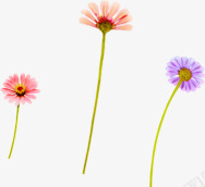 粉紫色可爱春季花朵png免抠素材_新图网 https://ixintu.com 可爱 春季 紫色 花朵