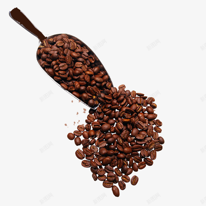 铲子一勺咖啡豆psd免抠素材_新图网 https://ixintu.com 一勺咖啡豆 厨房食材 咖啡 咖啡豆 铲子