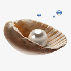 贝壳珍珠海边透明图素材