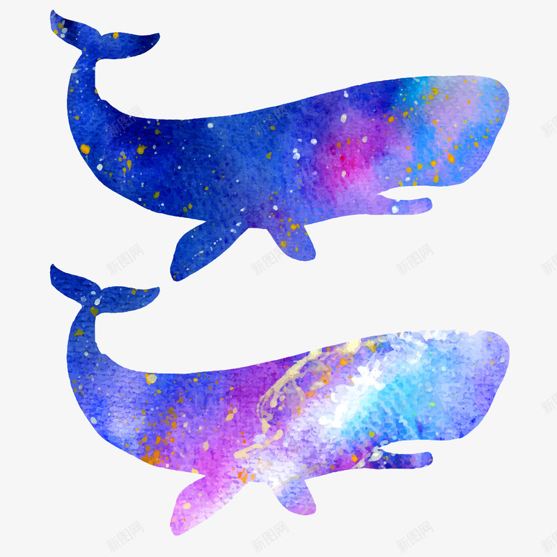 蓝色水彩风两头鲸鱼png免抠素材_新图网 https://ixintu.com 动物 大鱼 彩色 文艺 水彩风 鲸鱼