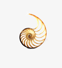 海蜗牛创意镂空贝壳高清图片