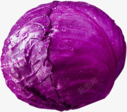 甘蓝新鲜蔬菜紫甘蓝高清图片
