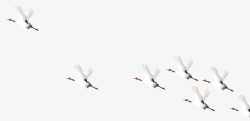 飞行的鹤一群飞行的鹤高清图片