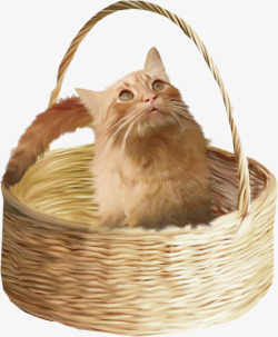 竹篮里的小猫素材