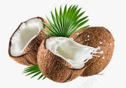 美味椰汁椰子高清图片