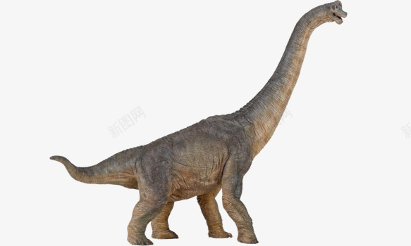 长脖子恐龙png免抠素材_新图网 https://ixintu.com 侏罗纪 恐龙 恐龙元素 远古生物 长颈