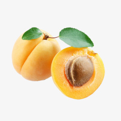黄色杏子美味杏子高清图片