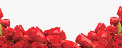 喜庆红色玫瑰装饰花朵素材