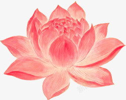 莲花佛语创意合成手绘红色的莲花高清图片