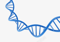 脱氧核糖核酸深蓝色dna遗传物质基因肽链脱高清图片