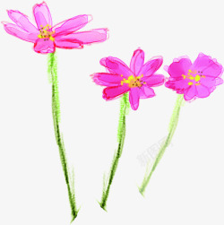 粉色春季手绘美化小花素材