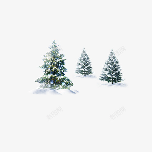 三棵冬天里的树png免抠素材_新图网 https://ixintu.com 冬天 树 白色 雪