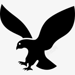 动物影子鹰的轮廓在飞行图标高清图片