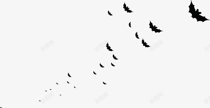 黑色万圣节蝙蝠海报png免抠素材_新图网 https://ixintu.com 一群蝙蝠 海报 蝙蝠 黑色