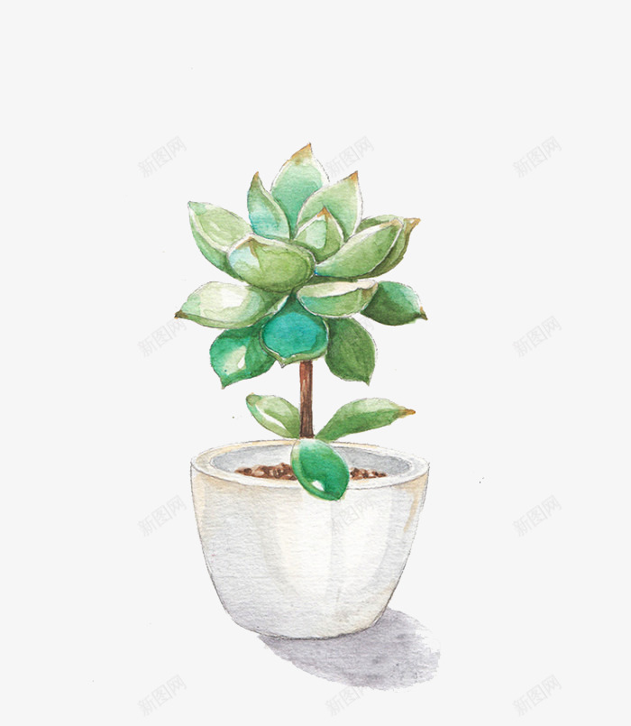 手绘风水彩植物psd免抠素材_新图网 https://ixintu.com PPT 多肉 小报 小清新 手抄报装饰 手绘 手账 新年手抄报 植物 水彩