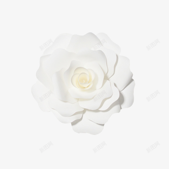 白色花朵植物浮雕png免抠素材_新图网 https://ixintu.com 植物 浮雕 白色 素材 花朵
