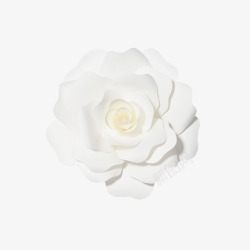 花朵浮雕白色花朵植物浮雕高清图片