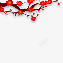 美观红梅树枝梅花朵朵花开高清图片