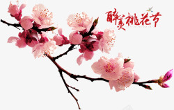 多彩花卉工笔画春天桃花节桃花图案高清图片