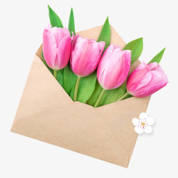 信封里的花朵5月母亲节鲜花信封高清图片