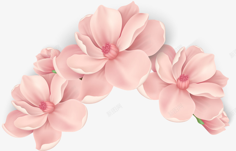 手绘粉色花朵png免抠素材_新图网 https://ixintu.com 手绘 樱花 粉色 绽放的花朵