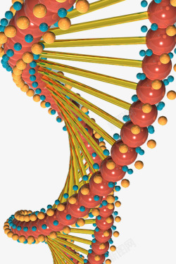 遗传物质核糖核酸高清图片