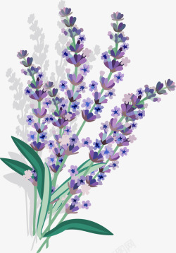 勿忘我花朵手绘紫色花朵矢量图高清图片