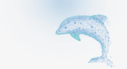 抽象科学海豚高科技点线面线条高清图片