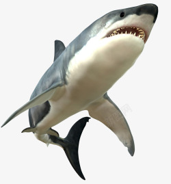 狂怒的大白鲨素材